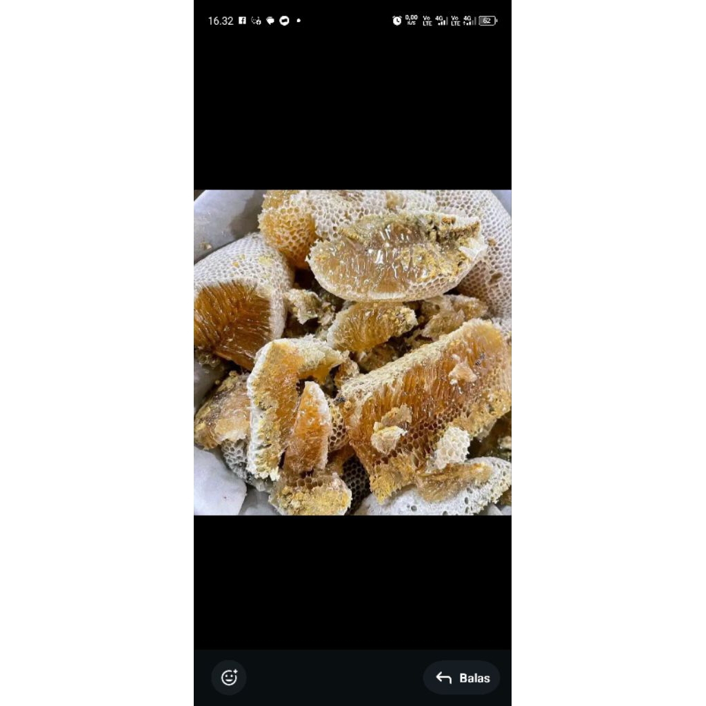 

Sarang madu, bisa dikriim seluruh Indonesia