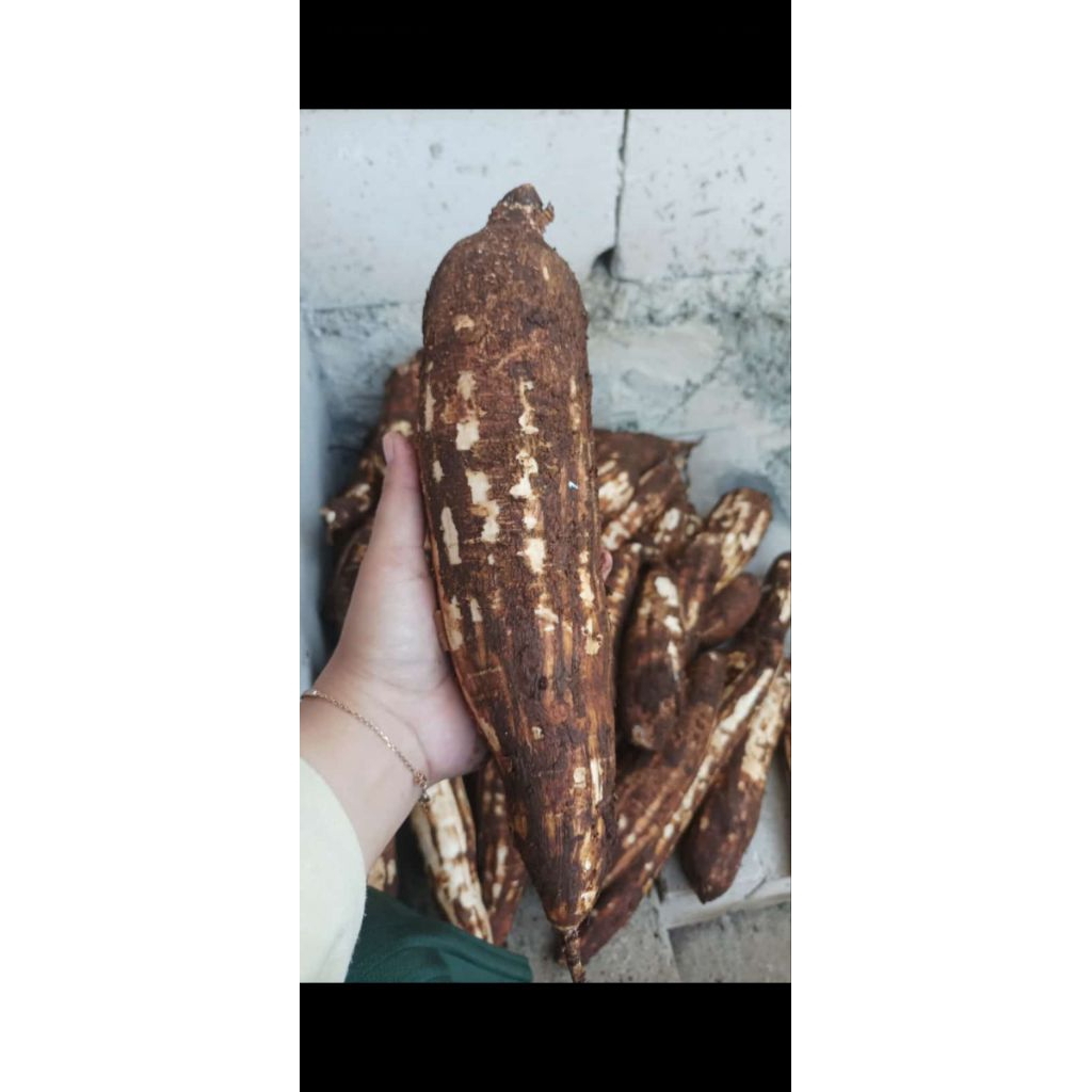 

Singkong/Budin Enak 1kg