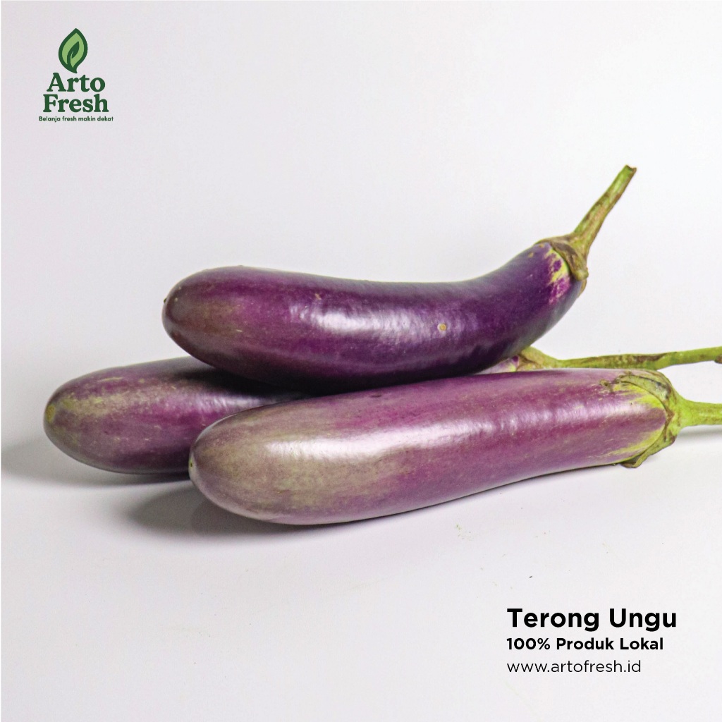 

Terong Ungu, Artofresh