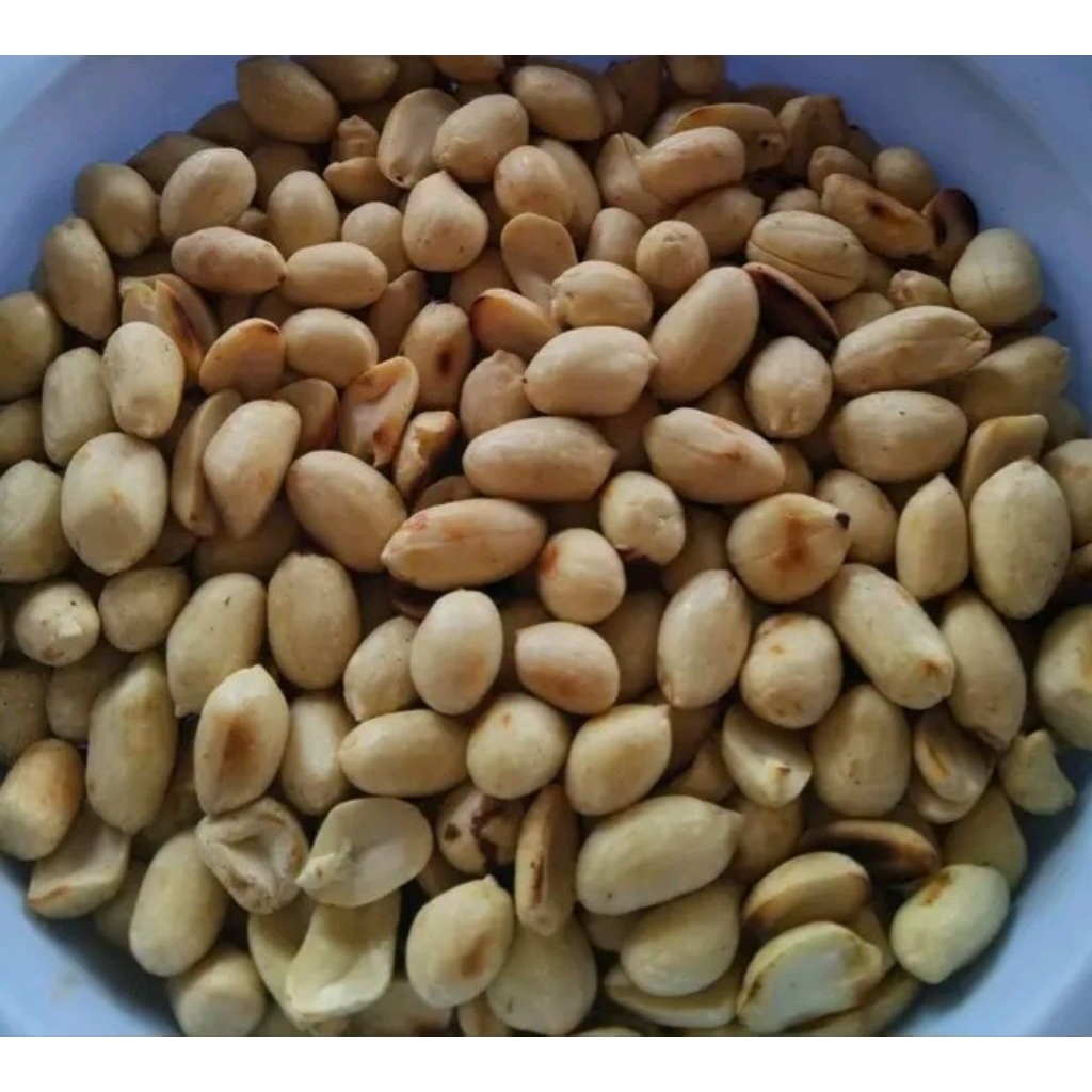 

kacang shangrai kacang tanah