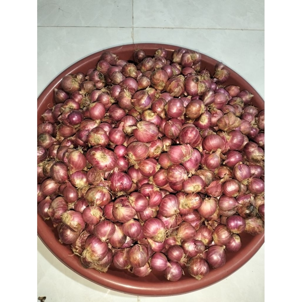 

BAWANG MERAH SUPER BESAR
