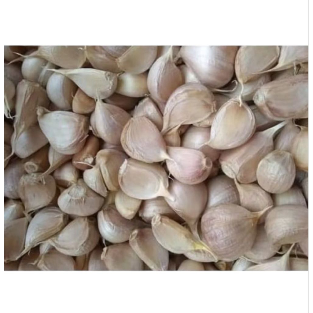 

Bawang putih segar 500 gram