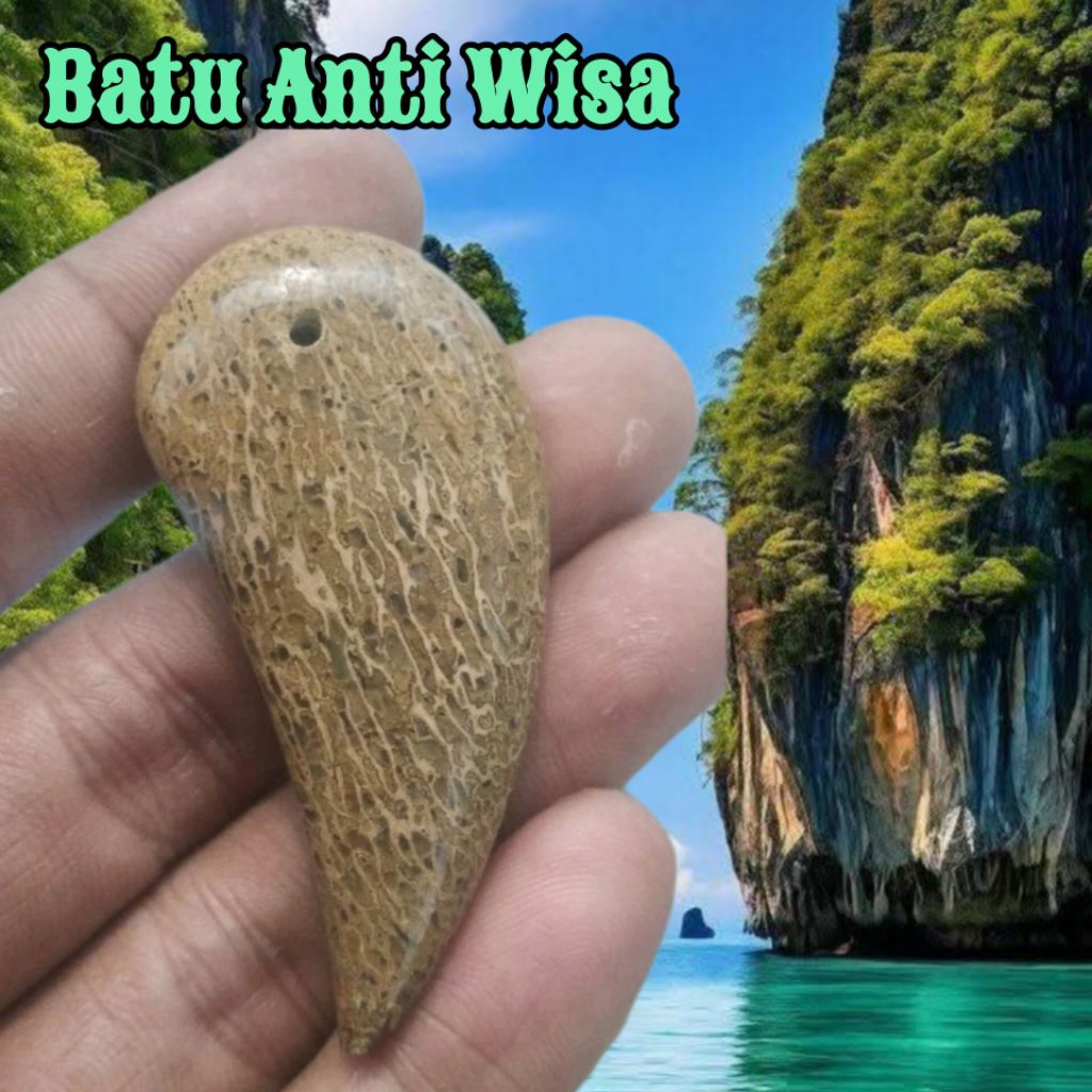 BATU AKIK ANTI WISA_ANTI RACUN BINATANG_HISAP RACUN BINATANG