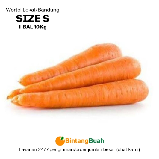 

Wortel Segar Lokal S (size SEDANG) / Wortel Bandung / Wortel Bandung Fresh / Carrot Fresh / Fresh Carrot / Wortel Segar / Sayuran Segar /Wortel Lokal / 10 Kg / Bal