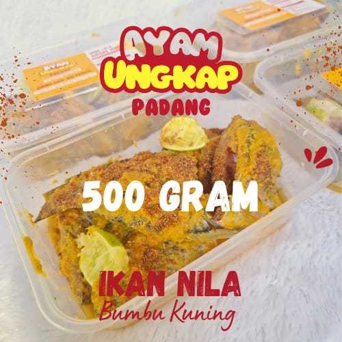 

Ikan Nila Bumbu Kuning Organik Tanpa Msg Pengawet Kota Padang - 500 gram