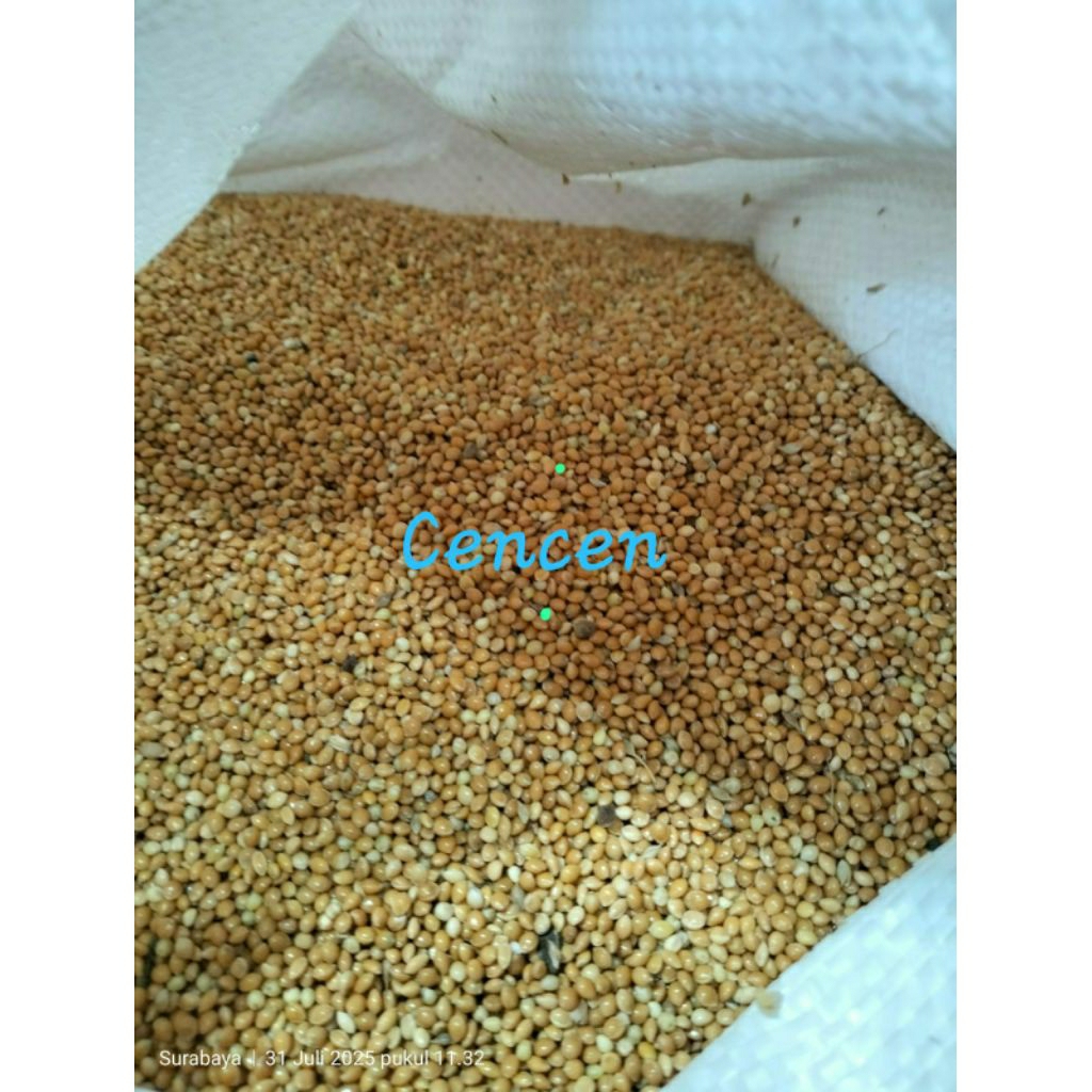 Milet kuning 1kg pakan lovebird perkutut derkuku