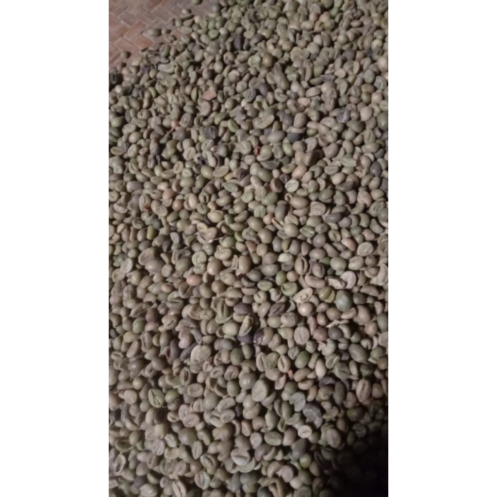 

biji kopi robusta lawu