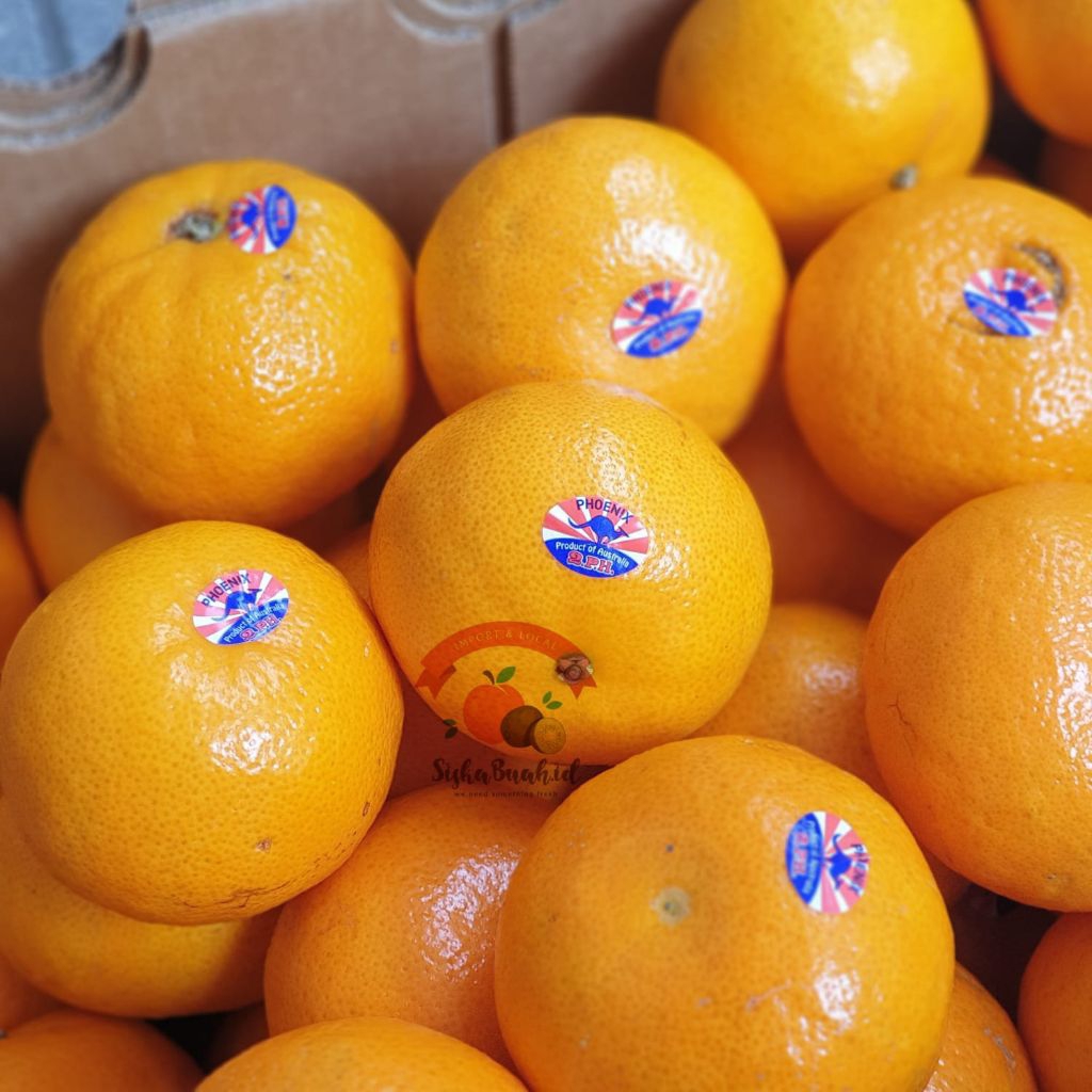 

JERUK MURCOTT AUSTRALIA - FRESH IMPORT | SEEDLESS