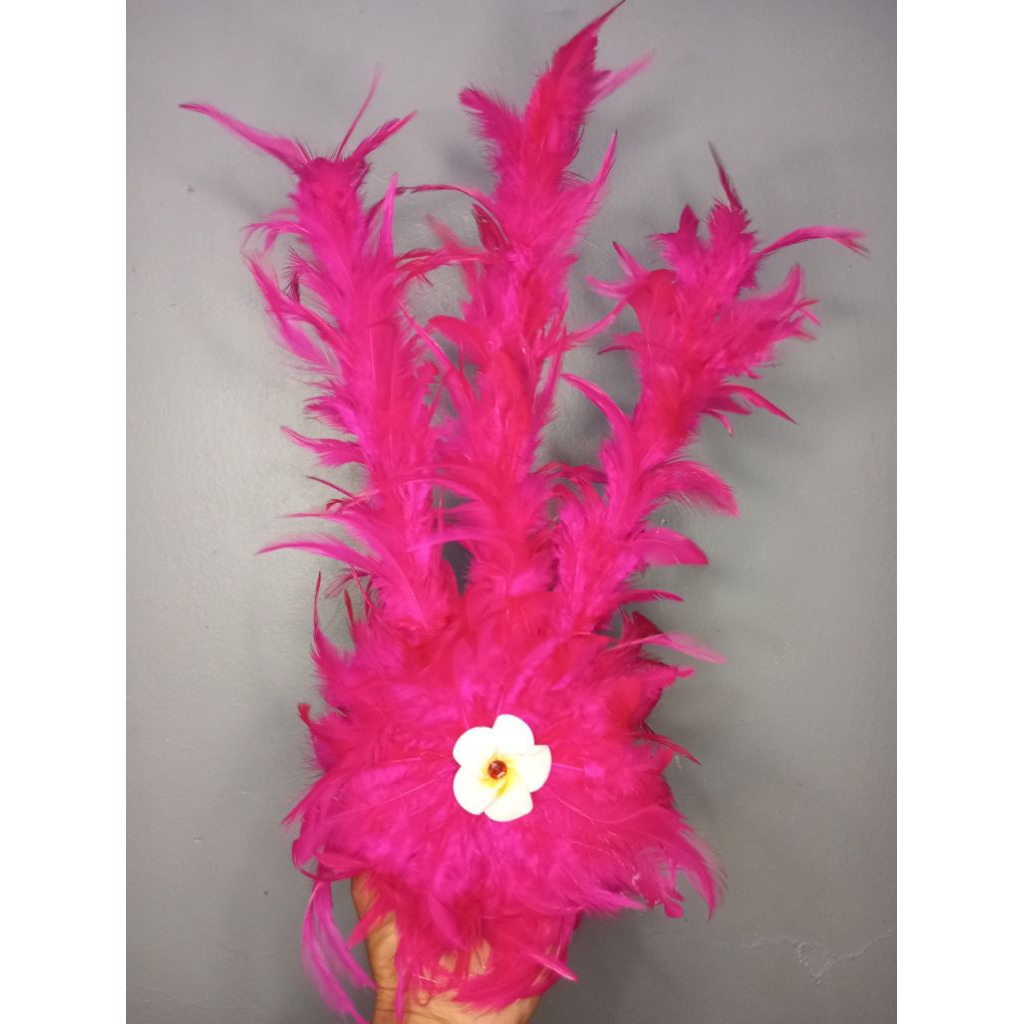 asesoris bulu mayoret