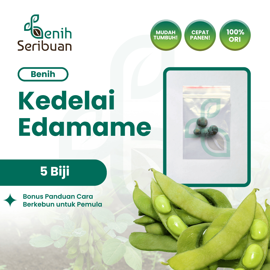 Benih Seribuan - 5 Benih Sayuran Kedelai Edamame Unggul