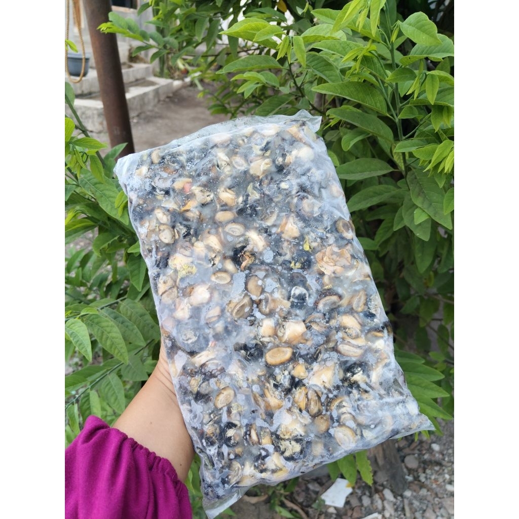 

daging kol sawah 1kg