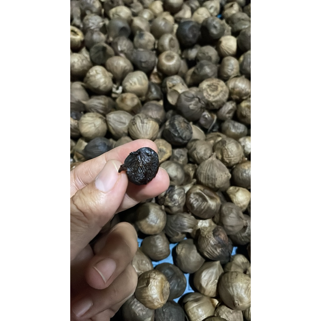 

BlackGarlic ShaQU 250g