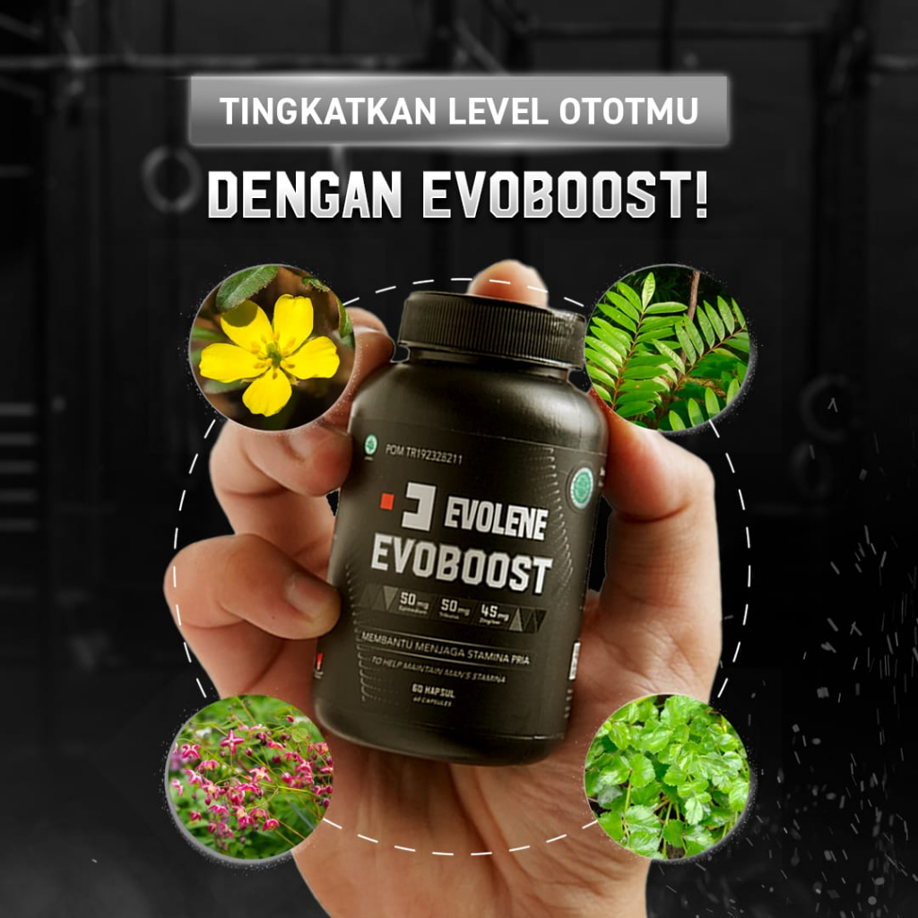 Evolene Evoboost 60 kapsul Suplemen Fitness Testosteron Booster