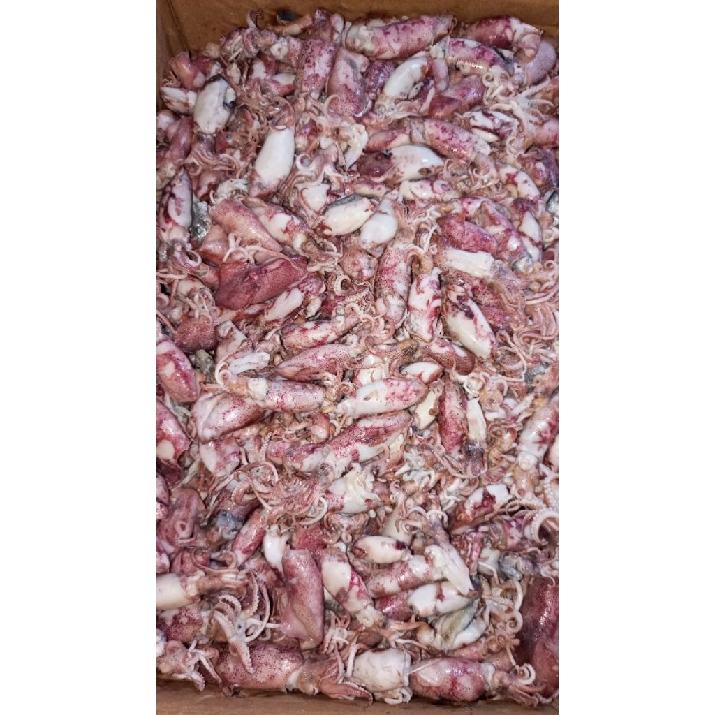 

ikan asin cumi super