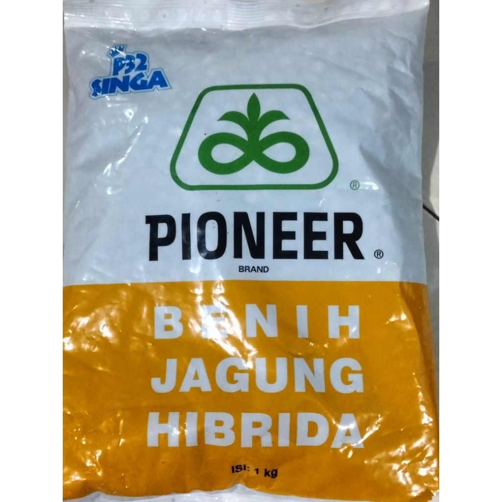 Benih Jagung Hibrida PIONEER P32 SINGA