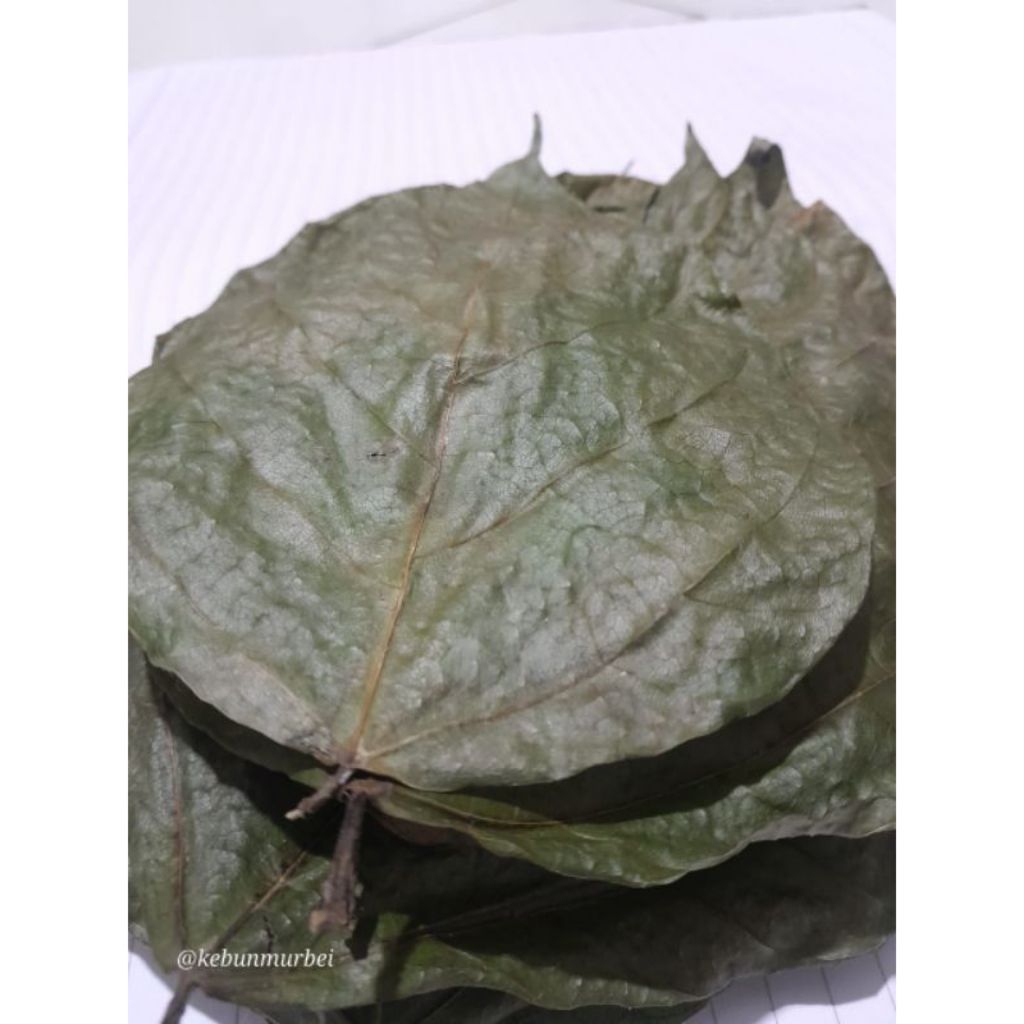 

Daun Dadap kering penurun panas(demam)perlembar Atawa per 100