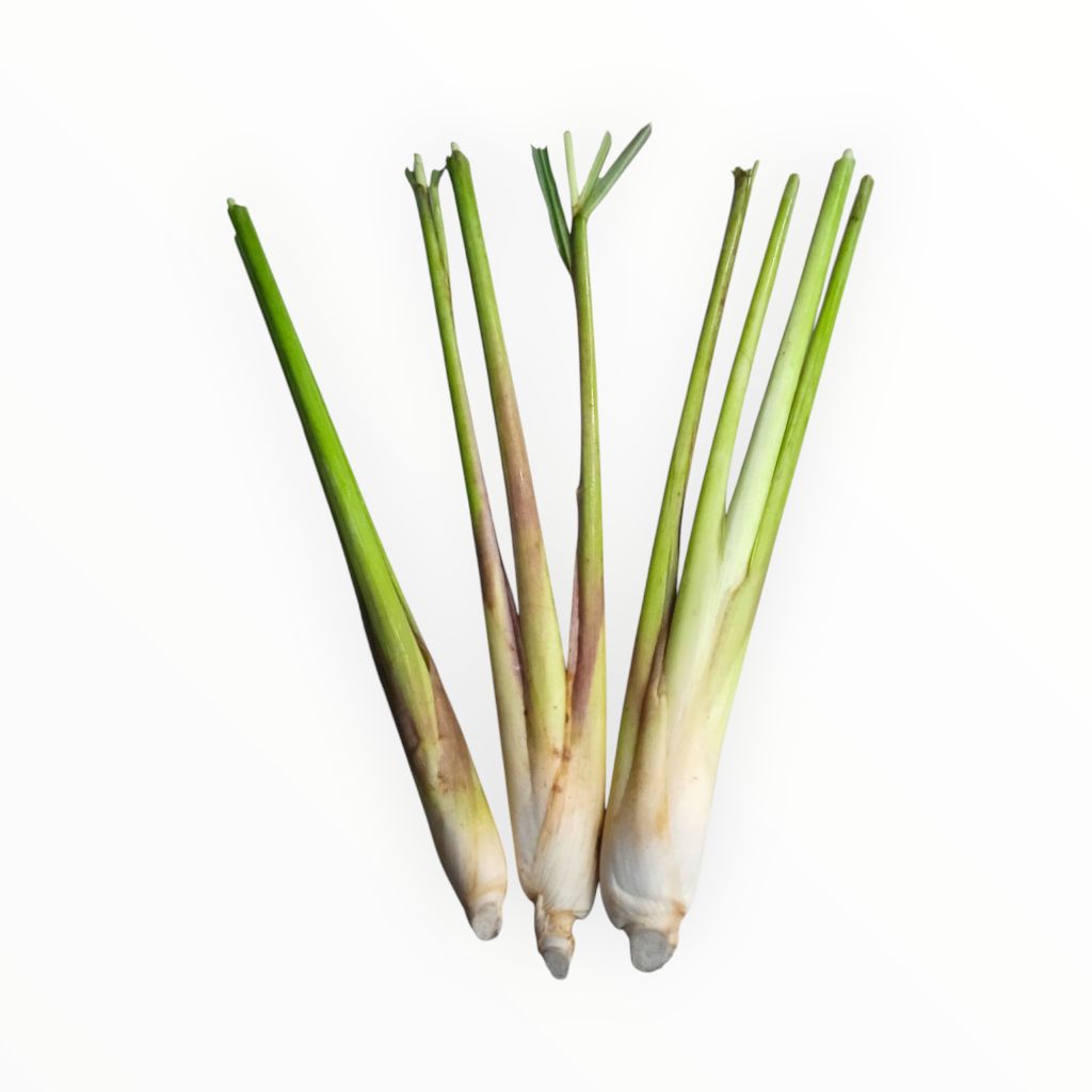 

promo serai fress 100 gram kualitas pilihan