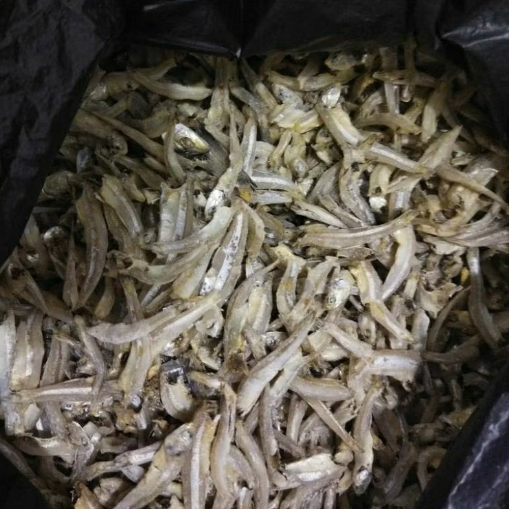 

Ikan Teri Asin Jengki Bulat Medan 500gr/1000gr