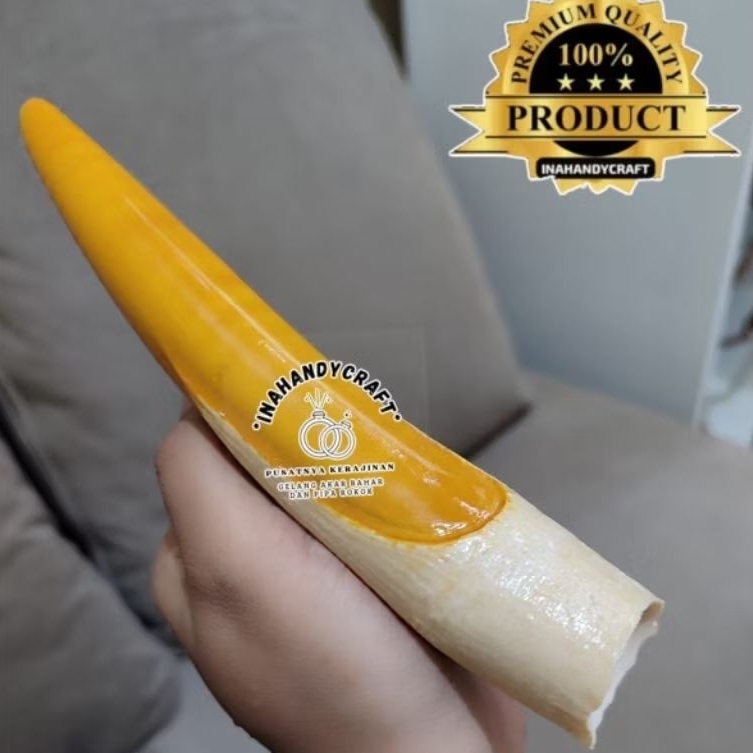 ONCE PIPO LAWASAN MODEL TARING SUPERR ISTIMEWA KEREN PANJANG 15-18CM GURIH