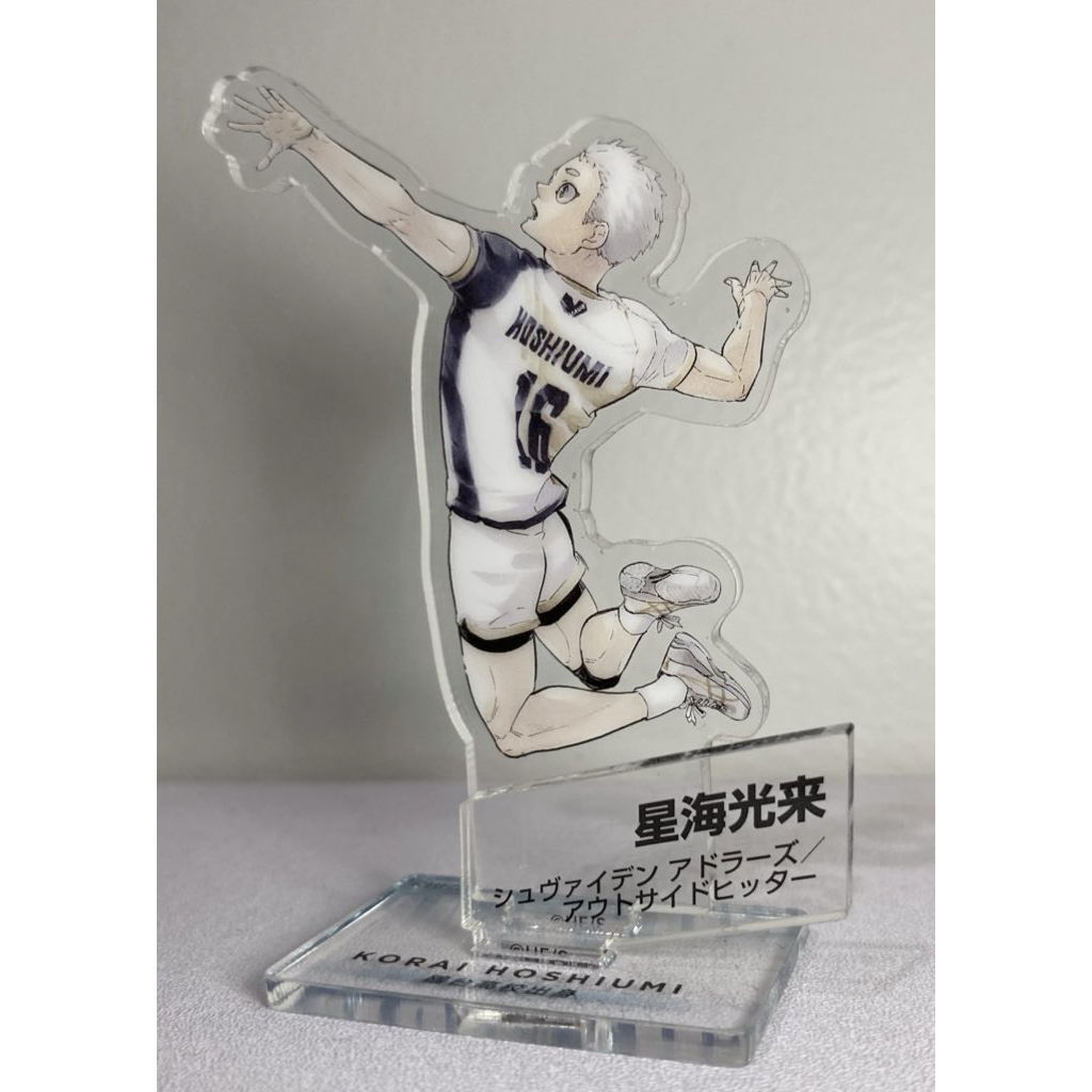 10th Chronicle Standee Hoshiumi Korai