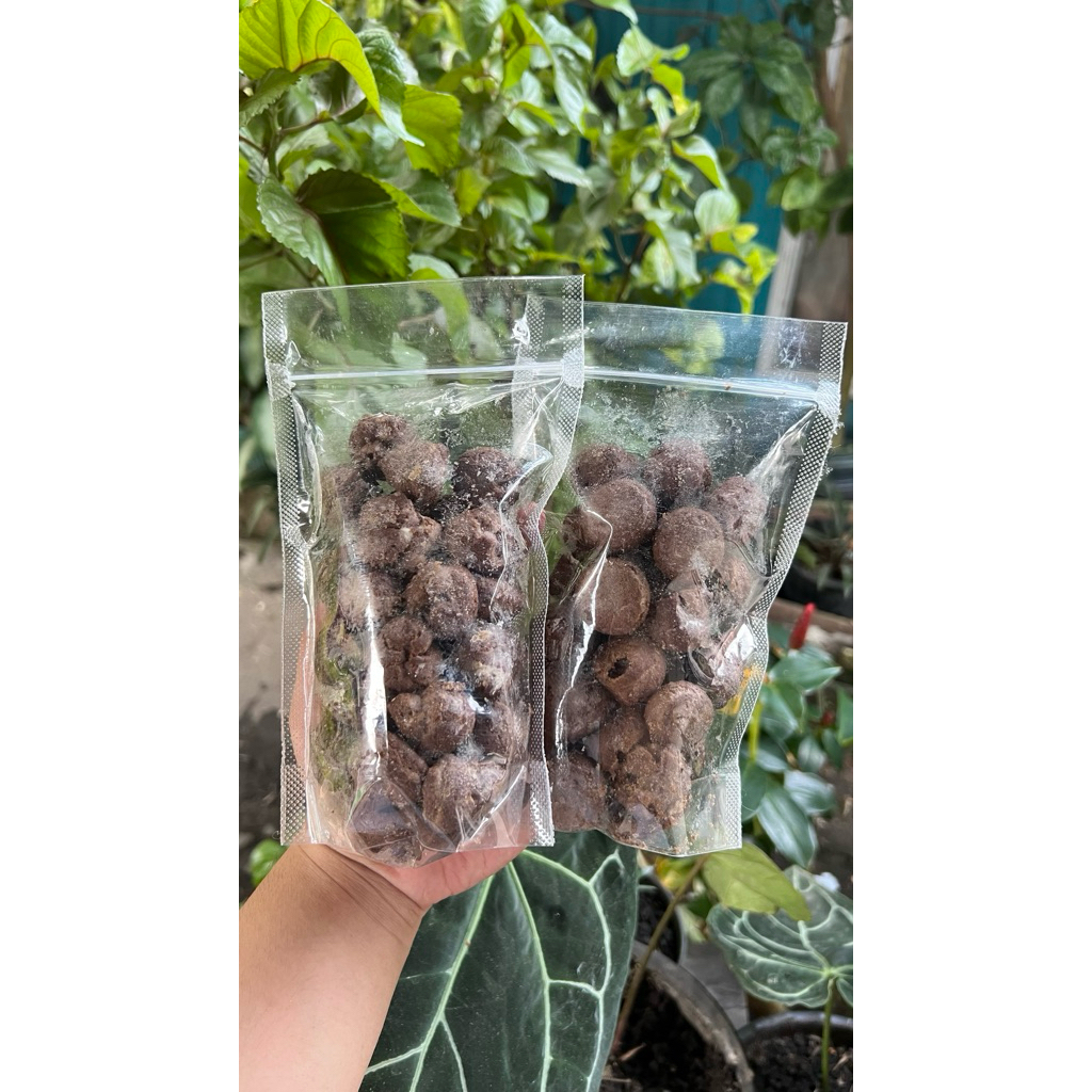 

SOES CREAM VANILA 100gr|SOES CREAM VANILA 250gr|ISTANA JAJANAN BANJARMASIN