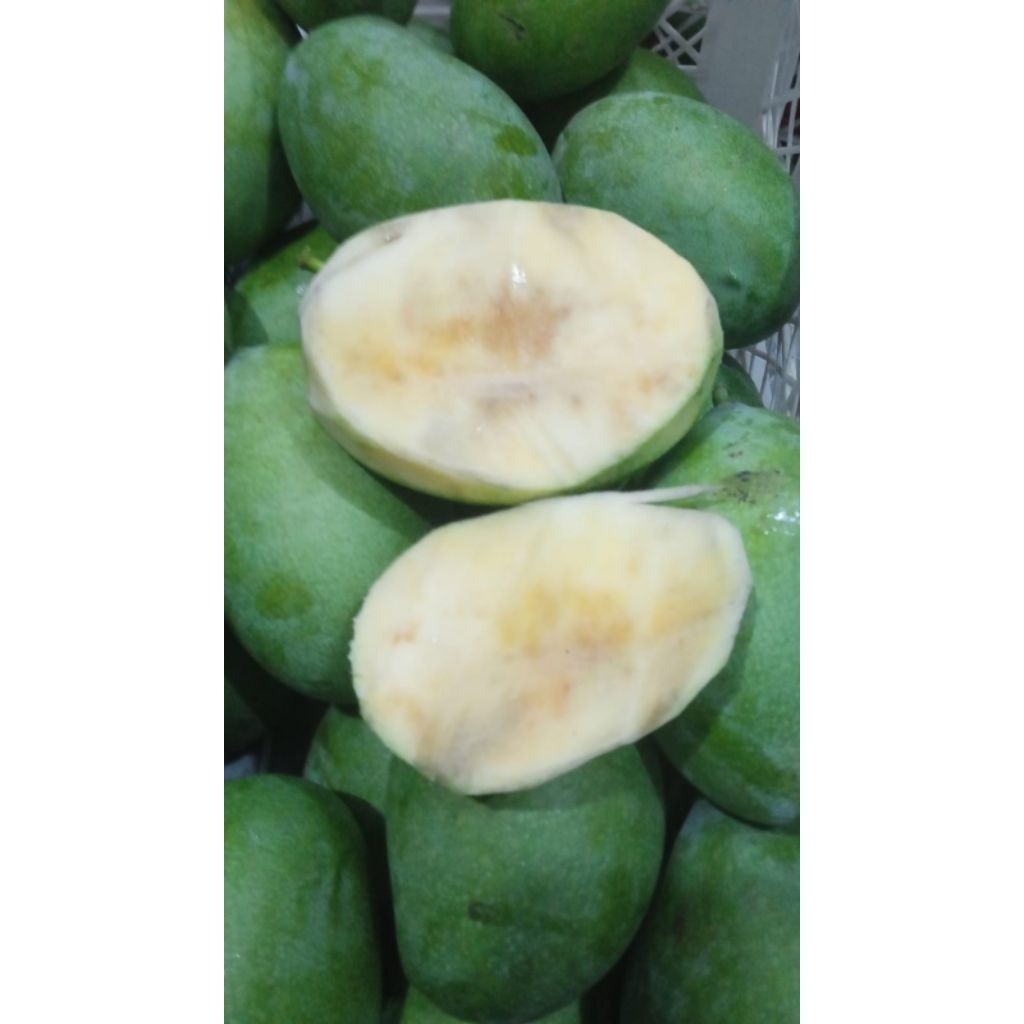 

Mangga Harum Manis (Manalagi) Situbondo 1 kg