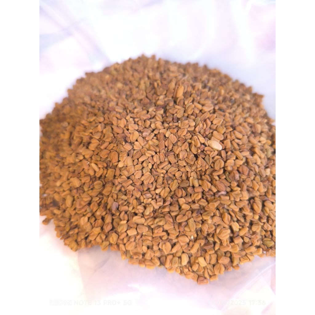 Biji Halba Kering Super (Per Ons)
