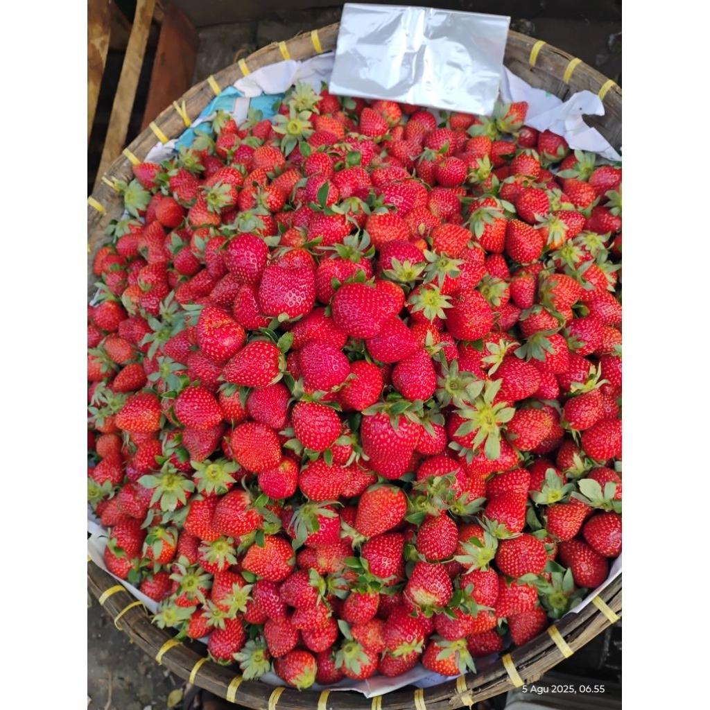 

strawberry curah fress