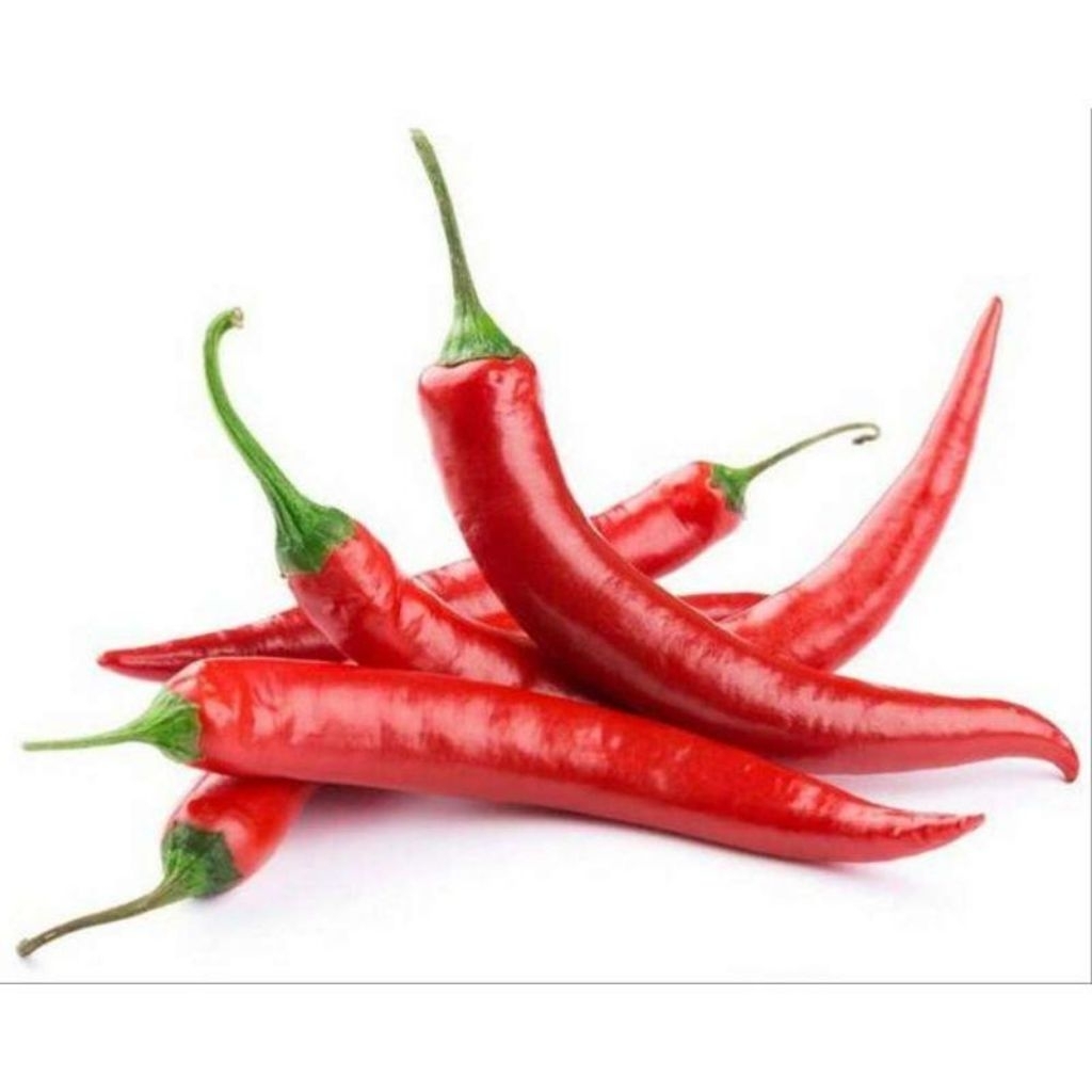 

cabe /cabe merah besar