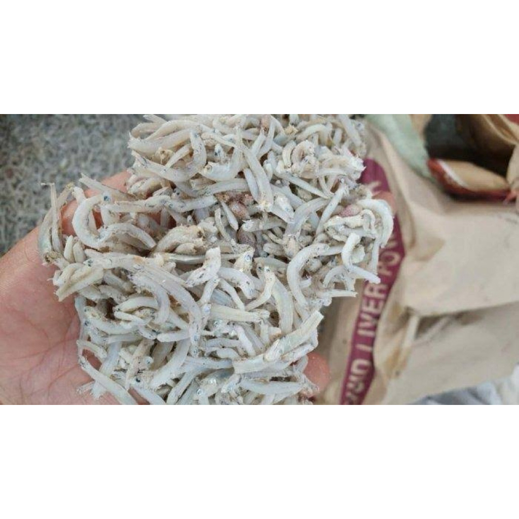 

TERI NASI MEDAN 100 GRAM - 36 fresh palembang