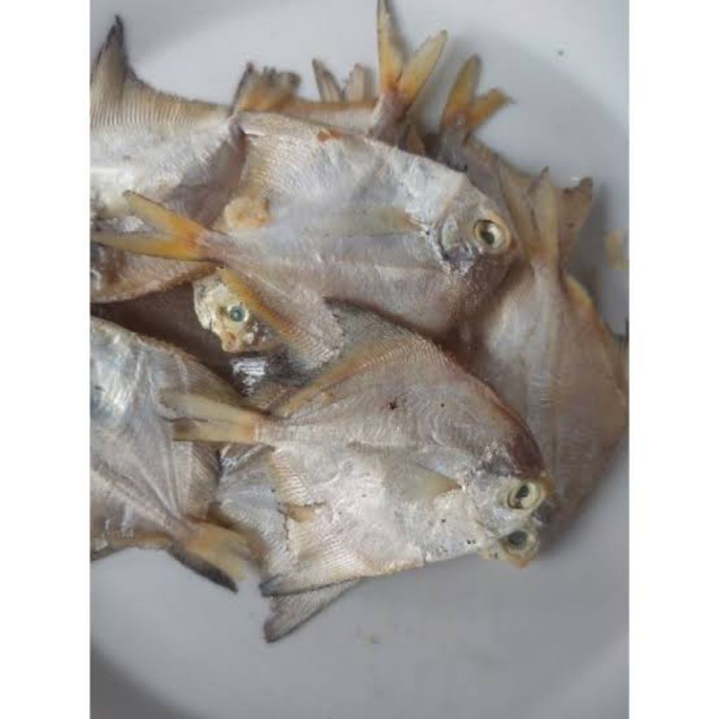 

Ikan Asin Bawal (Seafood Kering)