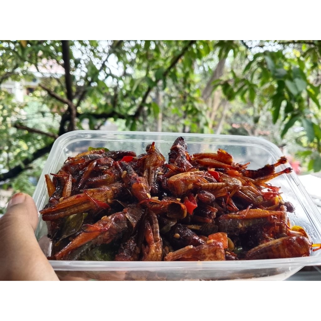 

belalang kayu/besar irisan cabai