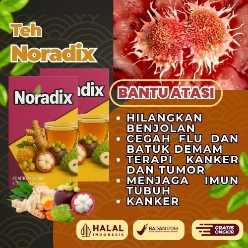 

TEH HERBAL NORADIX BANTU CEGAH TUMOR KANKER