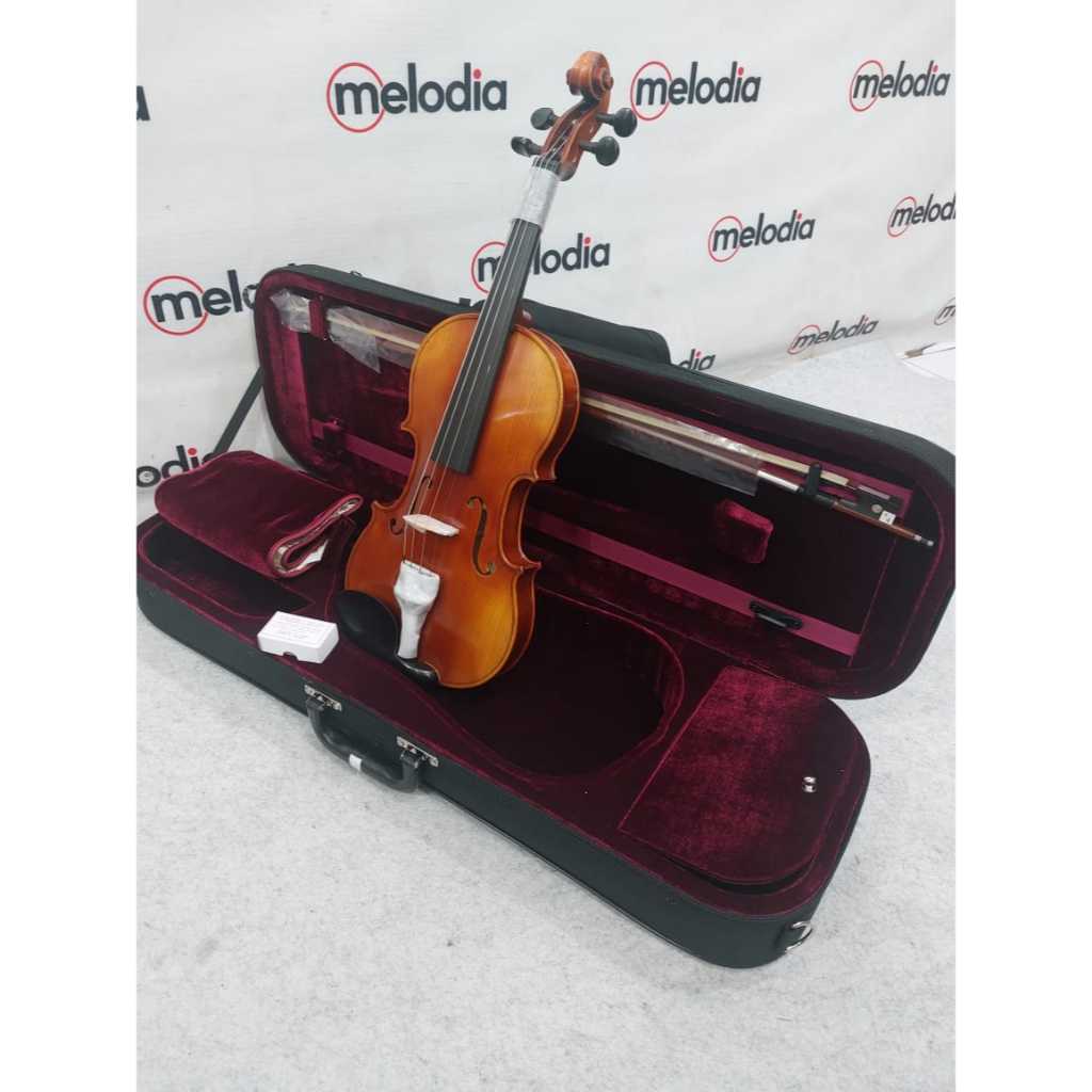 Scott Cao STV 017E 4/4, Biola in Antique Varnish