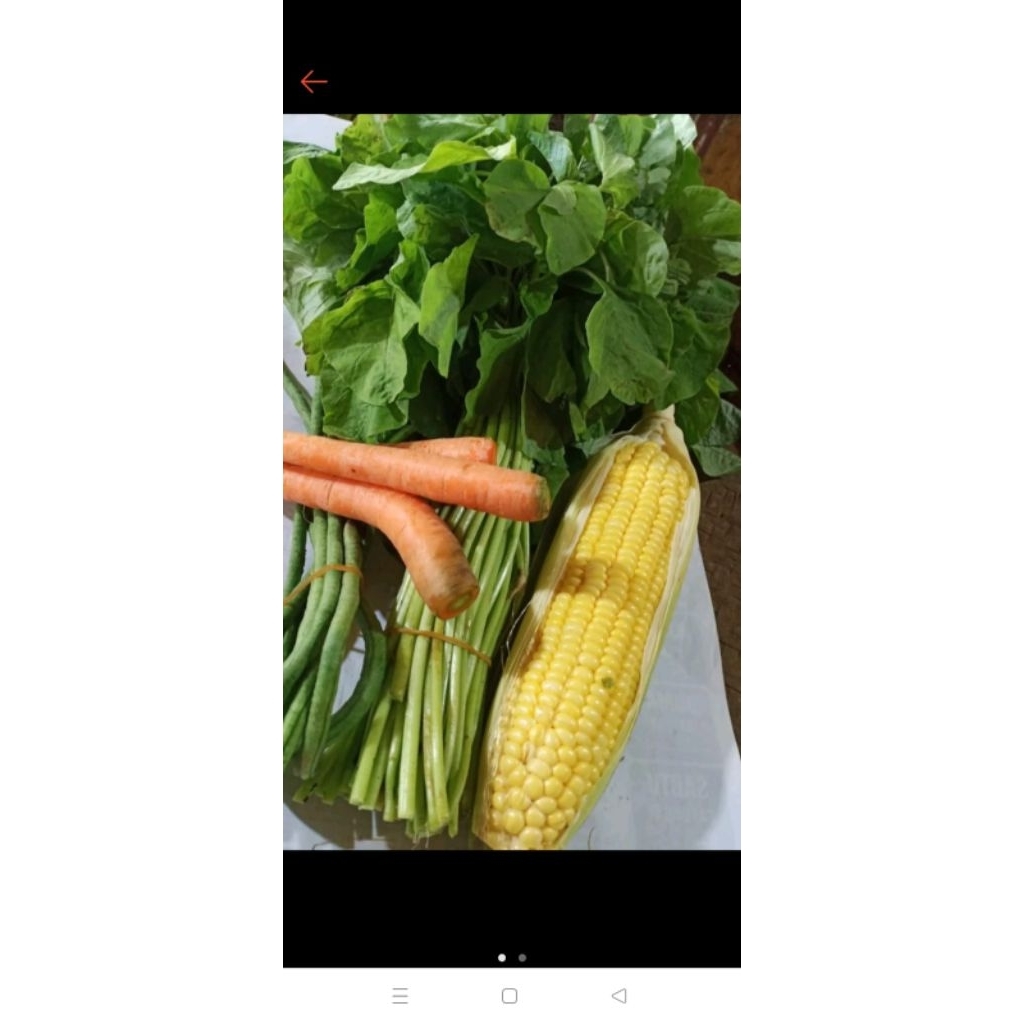 

paket sayur bayem segar