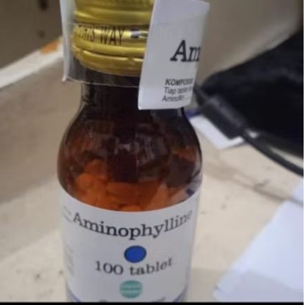 Aminophylline 200 mg botol 100 tablet