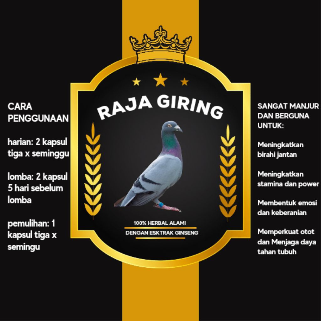Raja Giring – Jamu Kapsul Merpati Giring, Dopping Merpati, Jamu Giring Keket