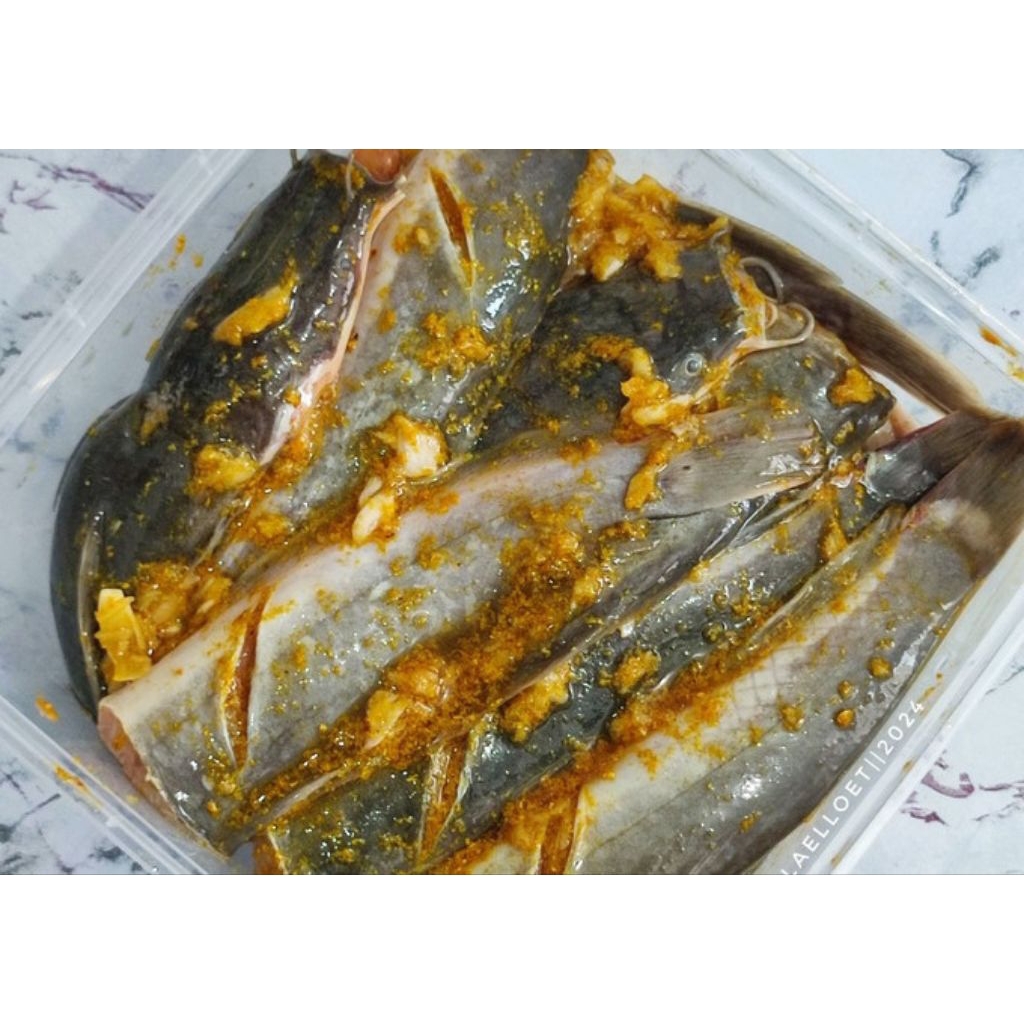 

Ikan lele Marinasi Bumbu Kuning siap di Goreng