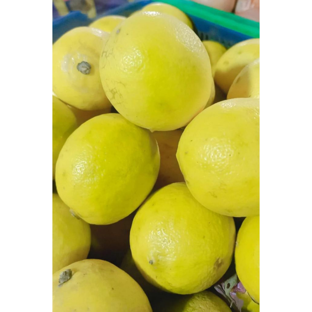 

Lemon California Segar Mengandung vitamin C 1000 gram