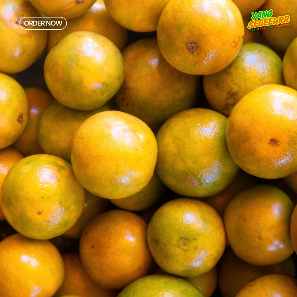 

Jeruk Madu Malang Segar Kualitas Super 5kg Termurah Di Jaksel