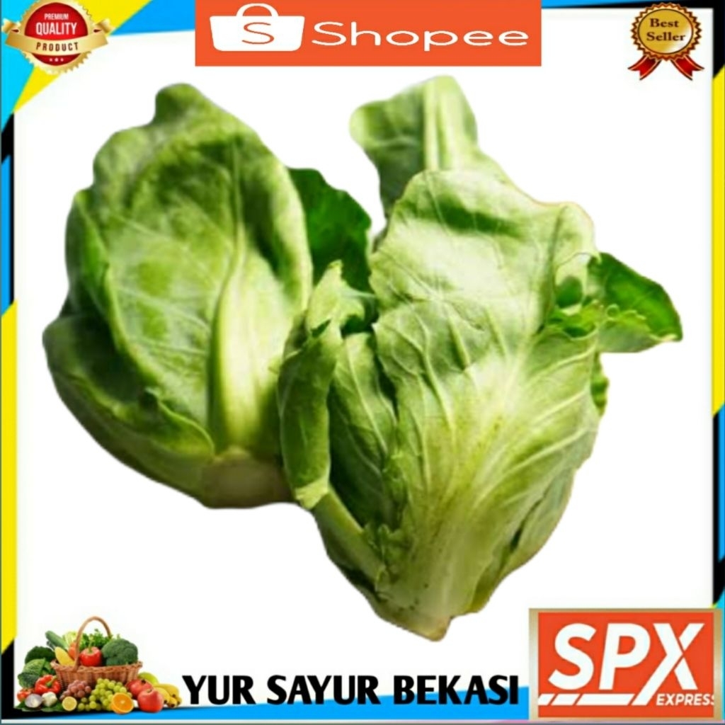 

Ceciwis/Ciwis Segar 500gr.