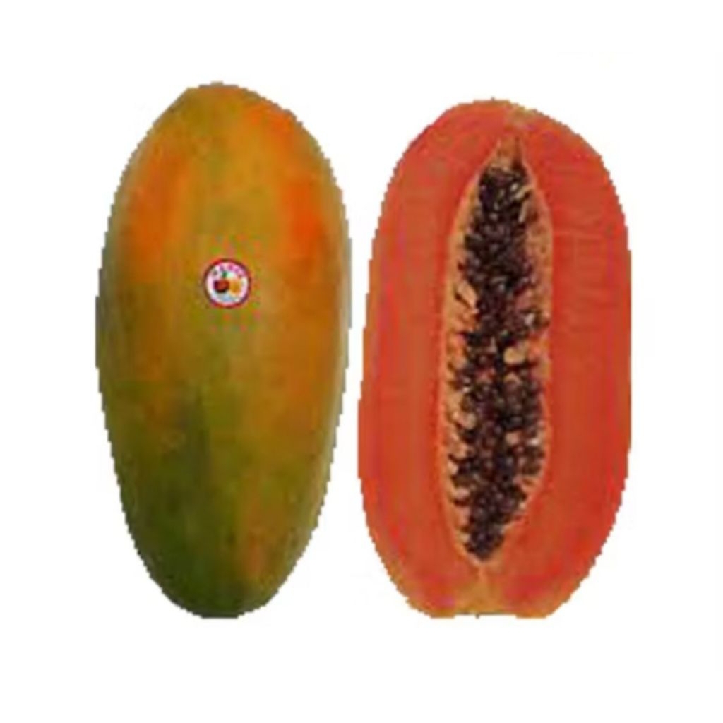 

Buah Pepaya California 1-1,5kg