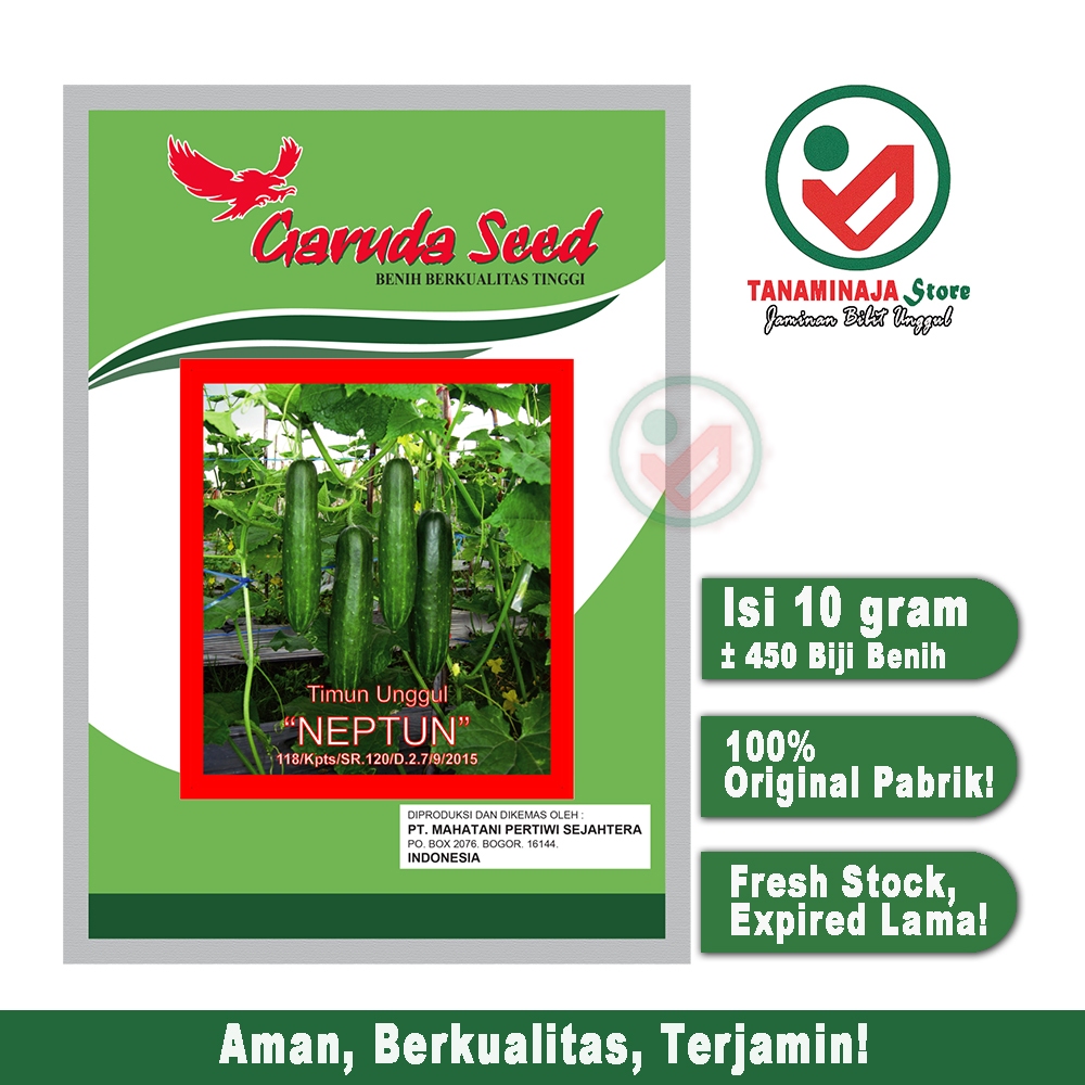 Isi 10 Gram Bibit Timun Hijau NEPTUN Benih Timun Mentimun Bibit Unggul