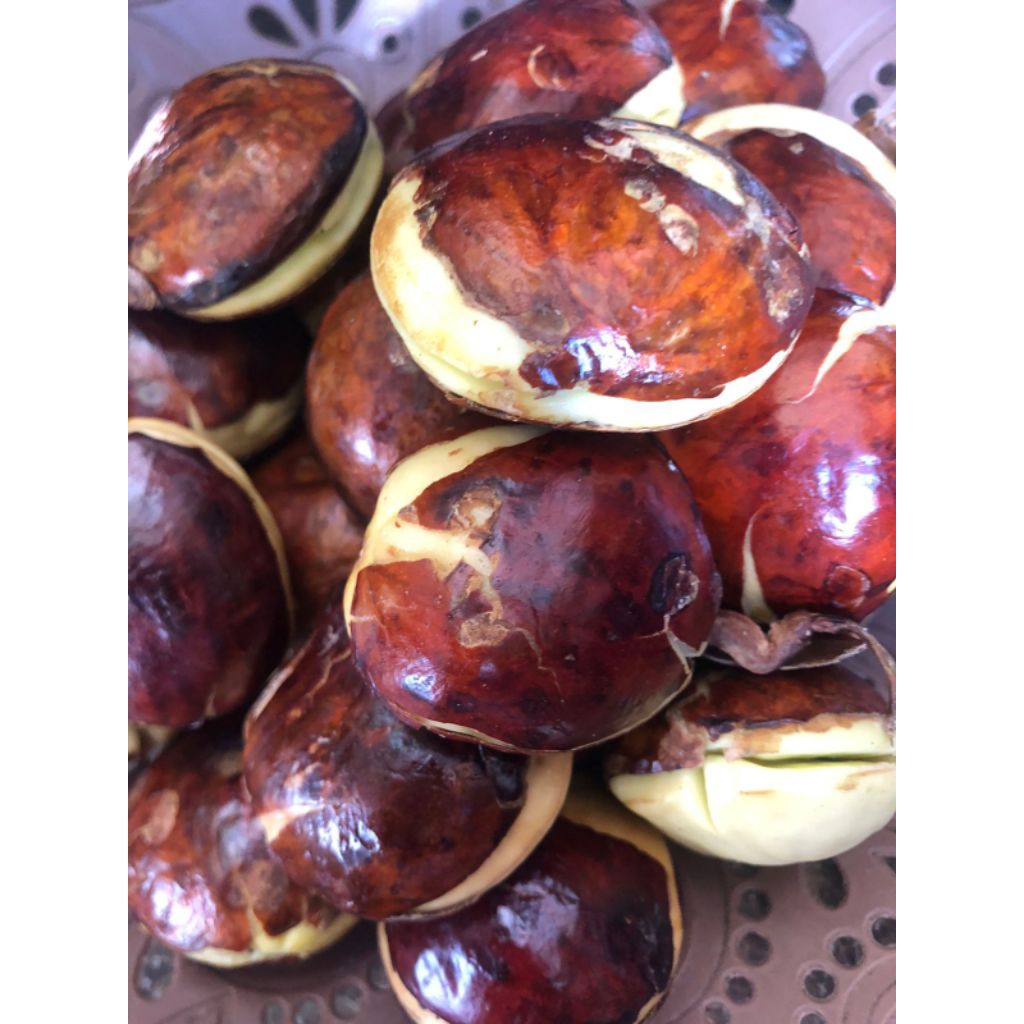 

Jengkol murah 250 gram