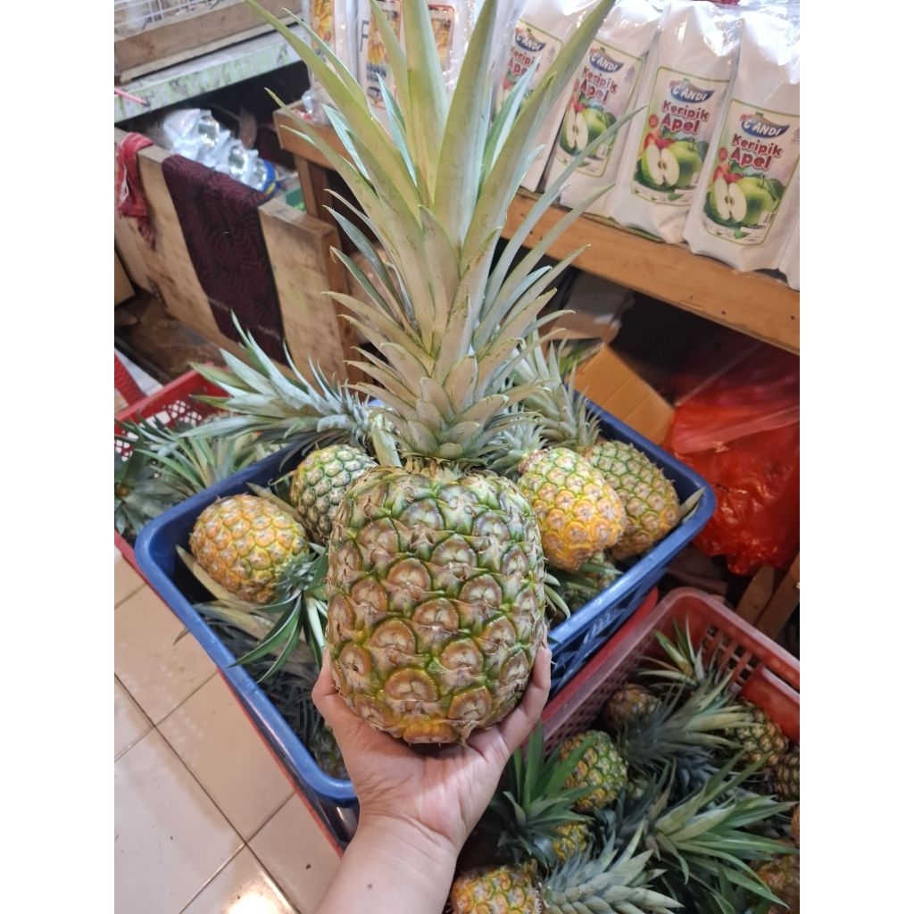 

Nanas Honi Madu Asli