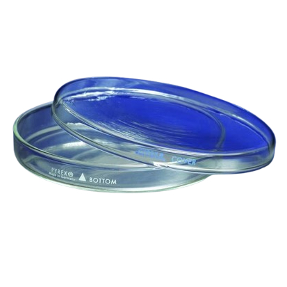 PYREX - Cawan Petri 10x20 / Petridish