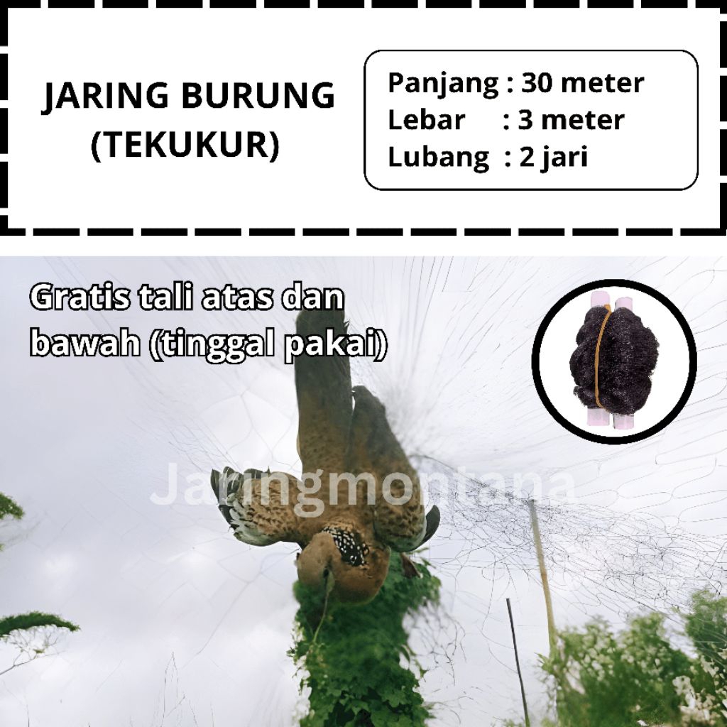 SUDAH SIAP PAKAI JARING BURUNG TEKUKUR 30 METER X 3 METER WARNA HITAM TINGGAL PASANG