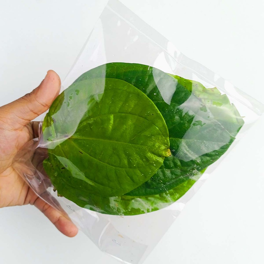 

Daun Sirih Segar 30g (± 12 Lembar)