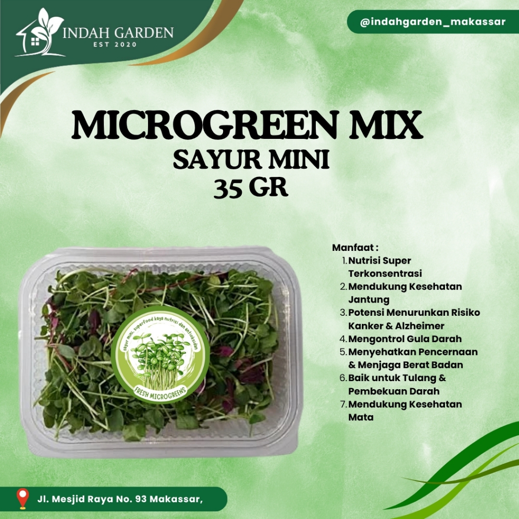 

READY - Jual Sayur Microgreen - SAYUR MINI Microgreen 35 gr - KHUSUS MAKASSAR
