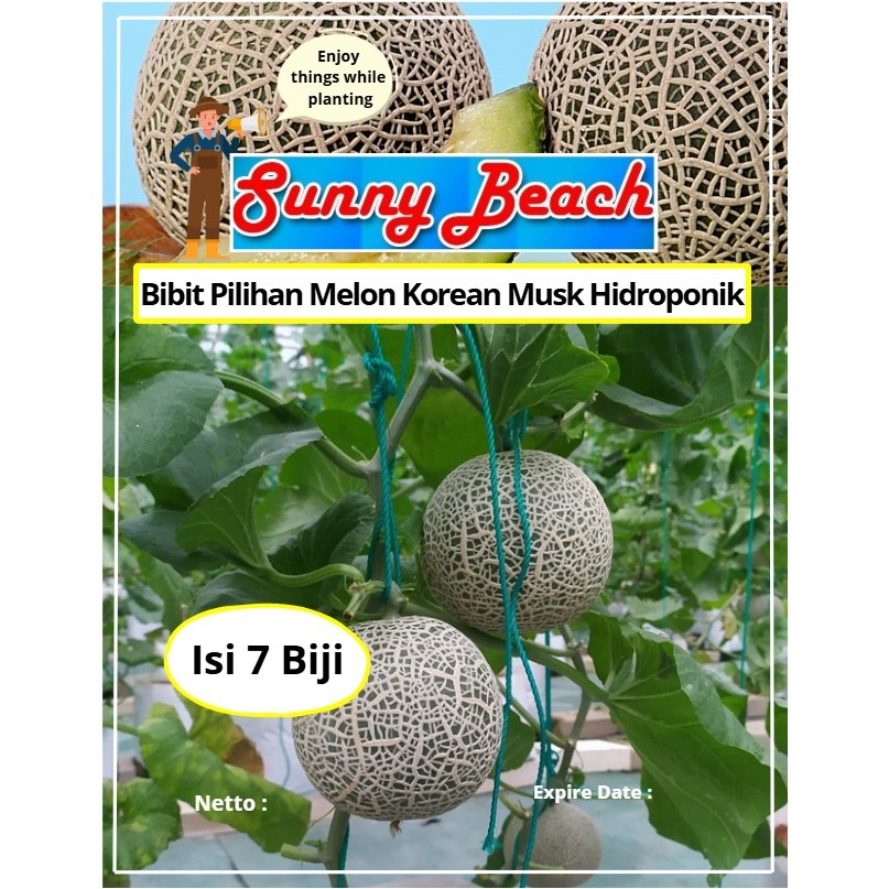 Bibit Pilihan Melon Korean Musk Hidroponic | Biji Benih Melon Korean Musk Hidroponic | Melon Korea